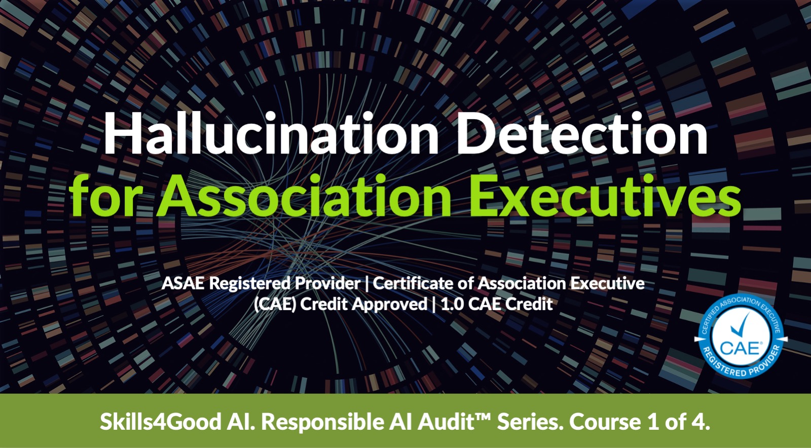 Hallucination Detection for Association Executives