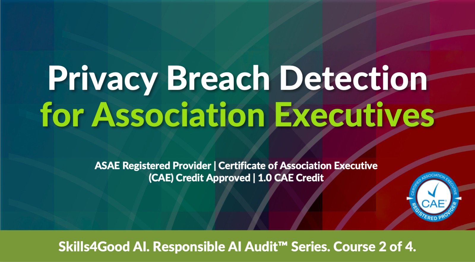 Privacy Breach Detection for Association Executives