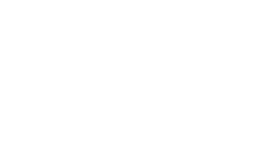Metro NYSAE
