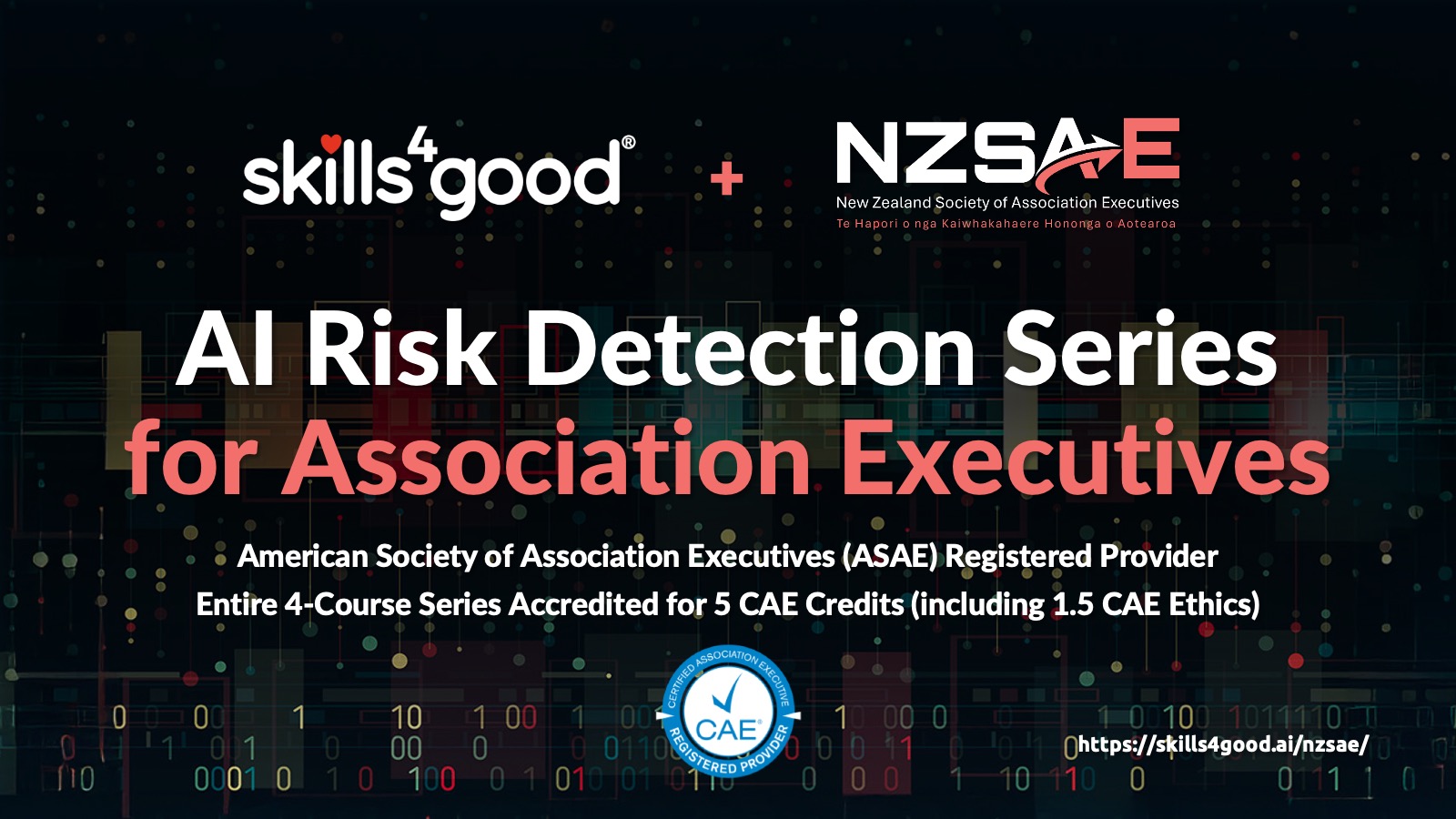AI Risk Detection Series for NZSAE Association Executives