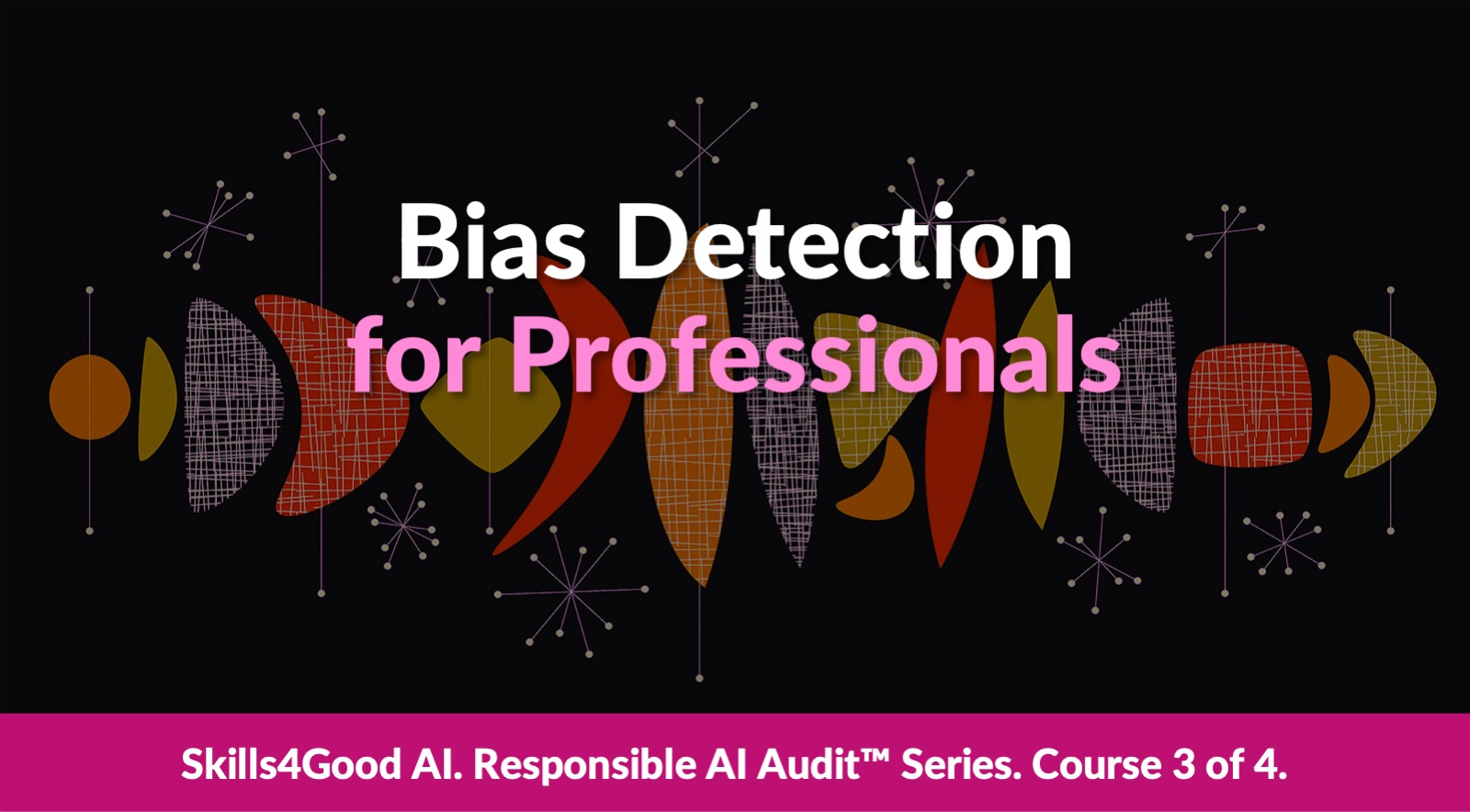 Bias Detection for Professionals