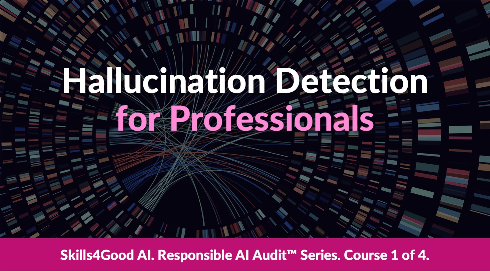 Hallucination Detection for Professionals
