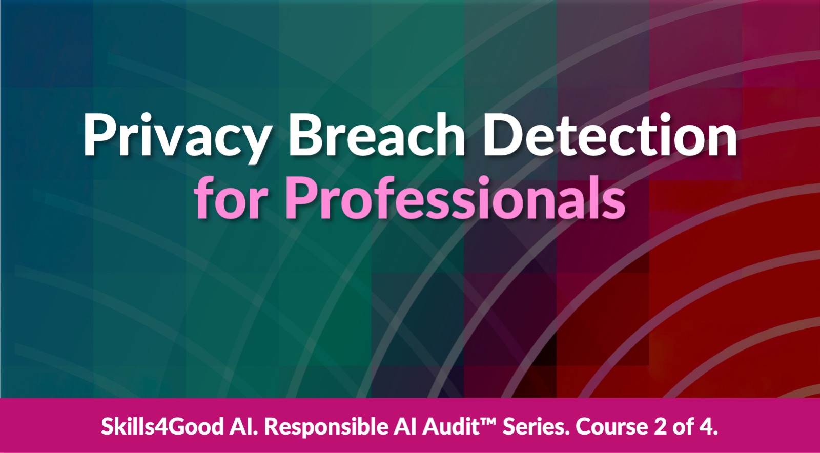 Privacy Breach Detection for Professionals